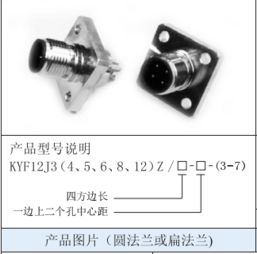 連接未來 上海與連接器的協(xié)同進(jìn)化
